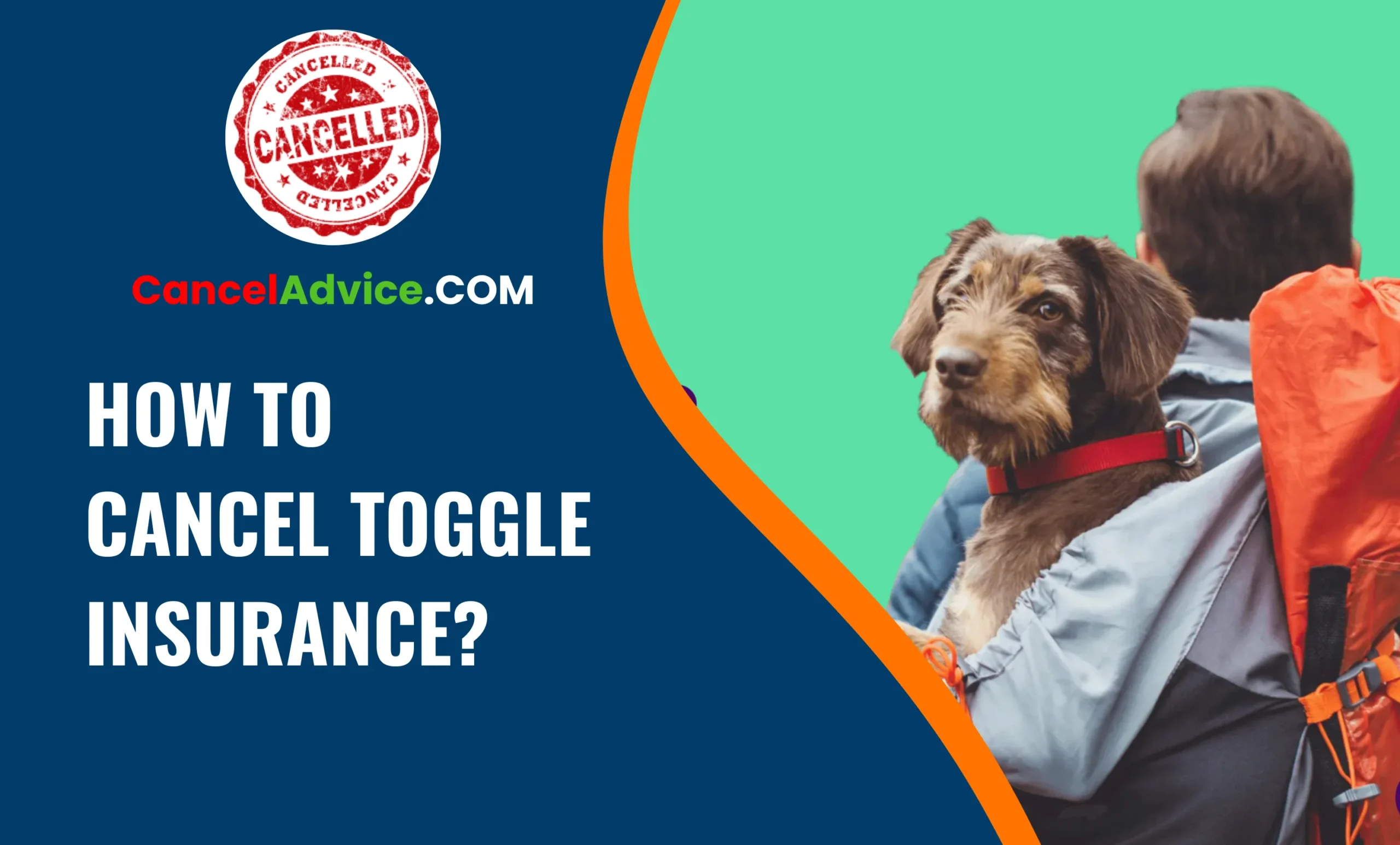 How To Cancel Toggle Insurance