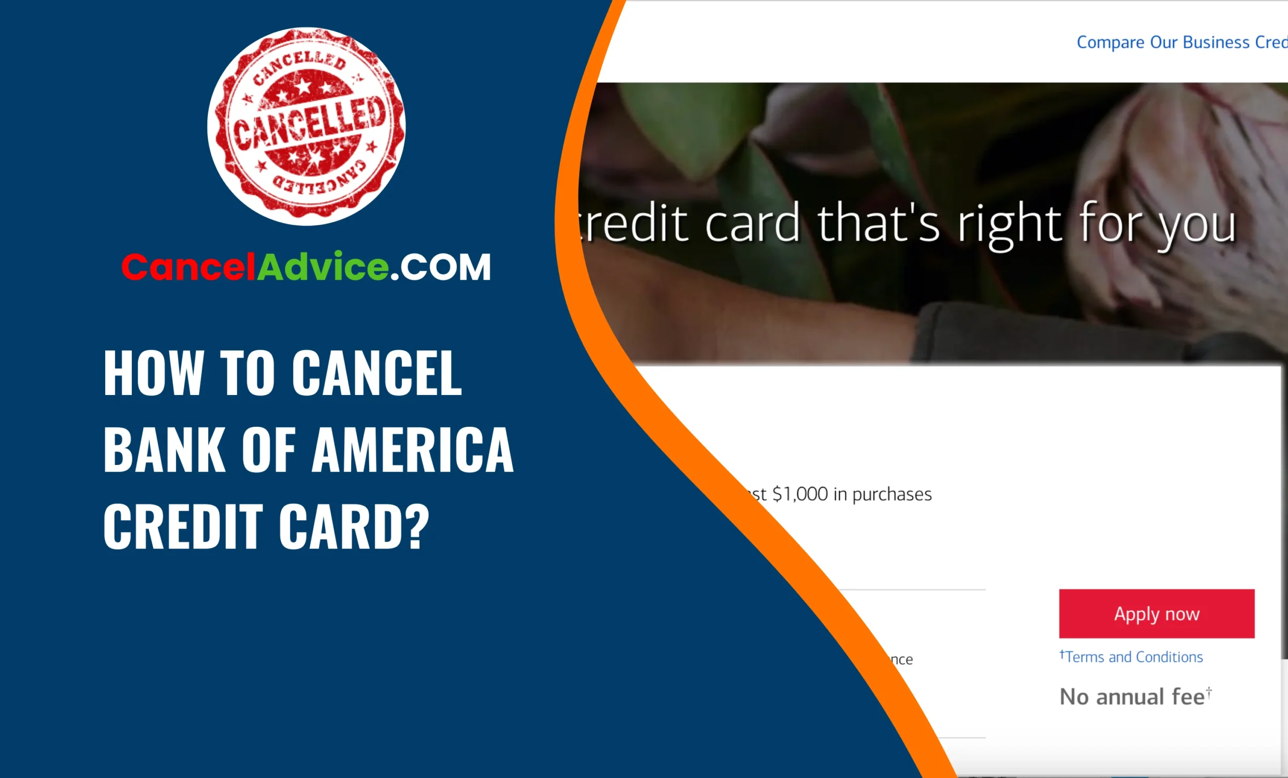 How to Cancel Bank of America Credit Card